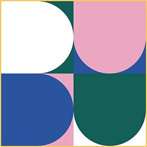 Dudu cover art