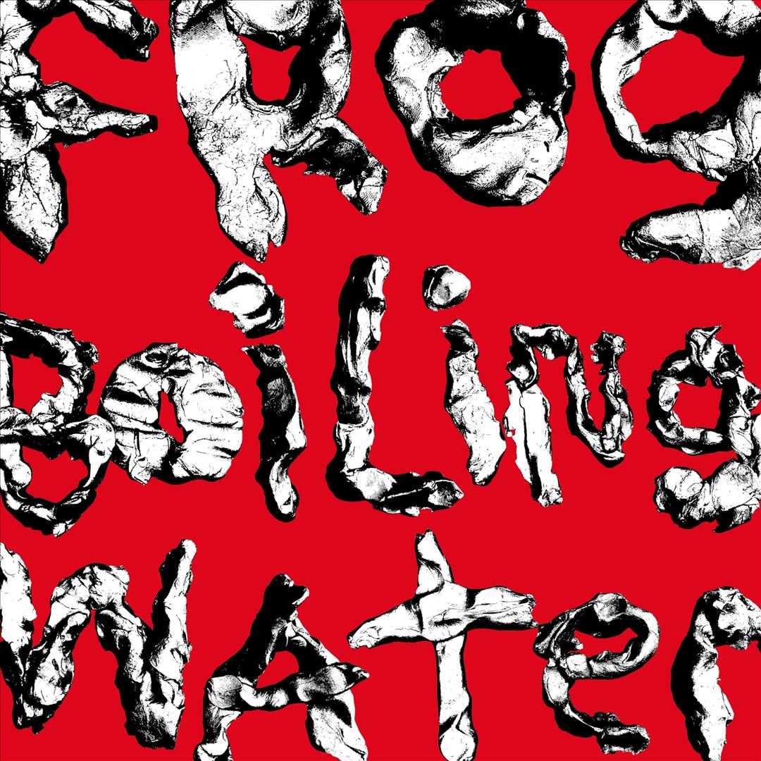 Frog In Boiling Water cover art