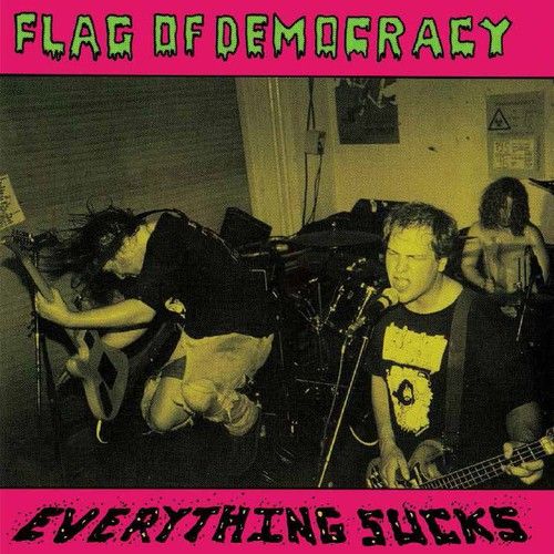 Everything Sucks cover art
