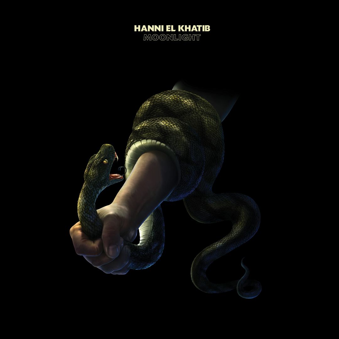 Moonlight [LP] cover art