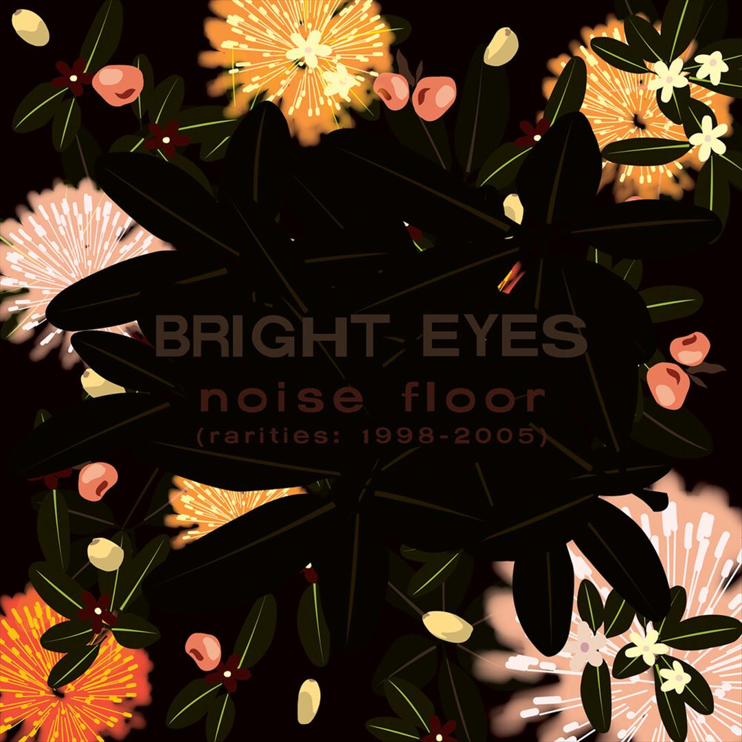 Noise Floor (Rarities 1998-2005) cover art