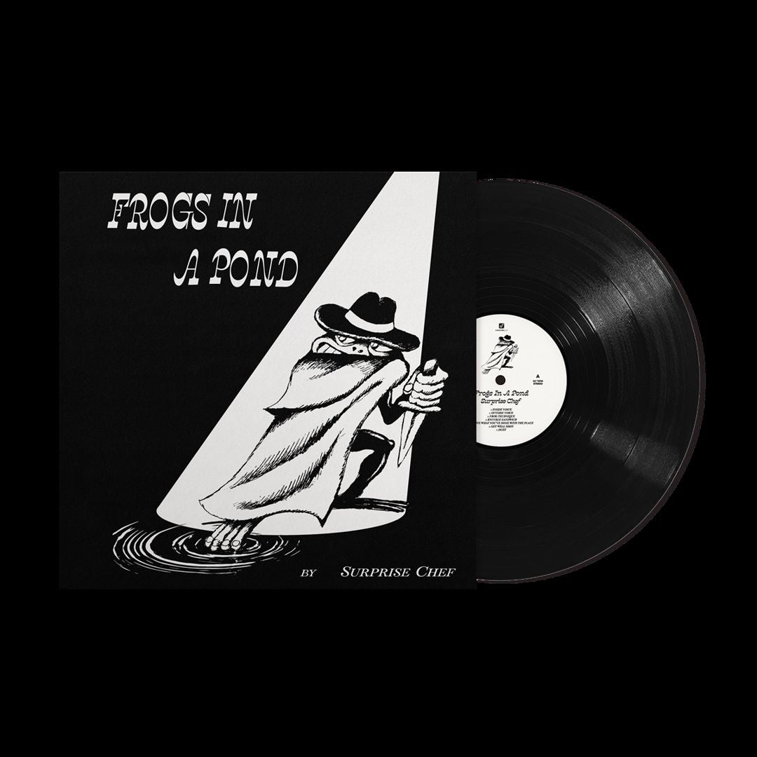 Frogs In A Pond cover art