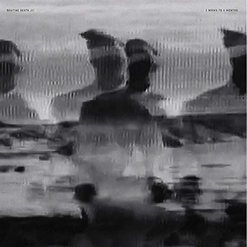 2 Weeks To 4 Months cover art