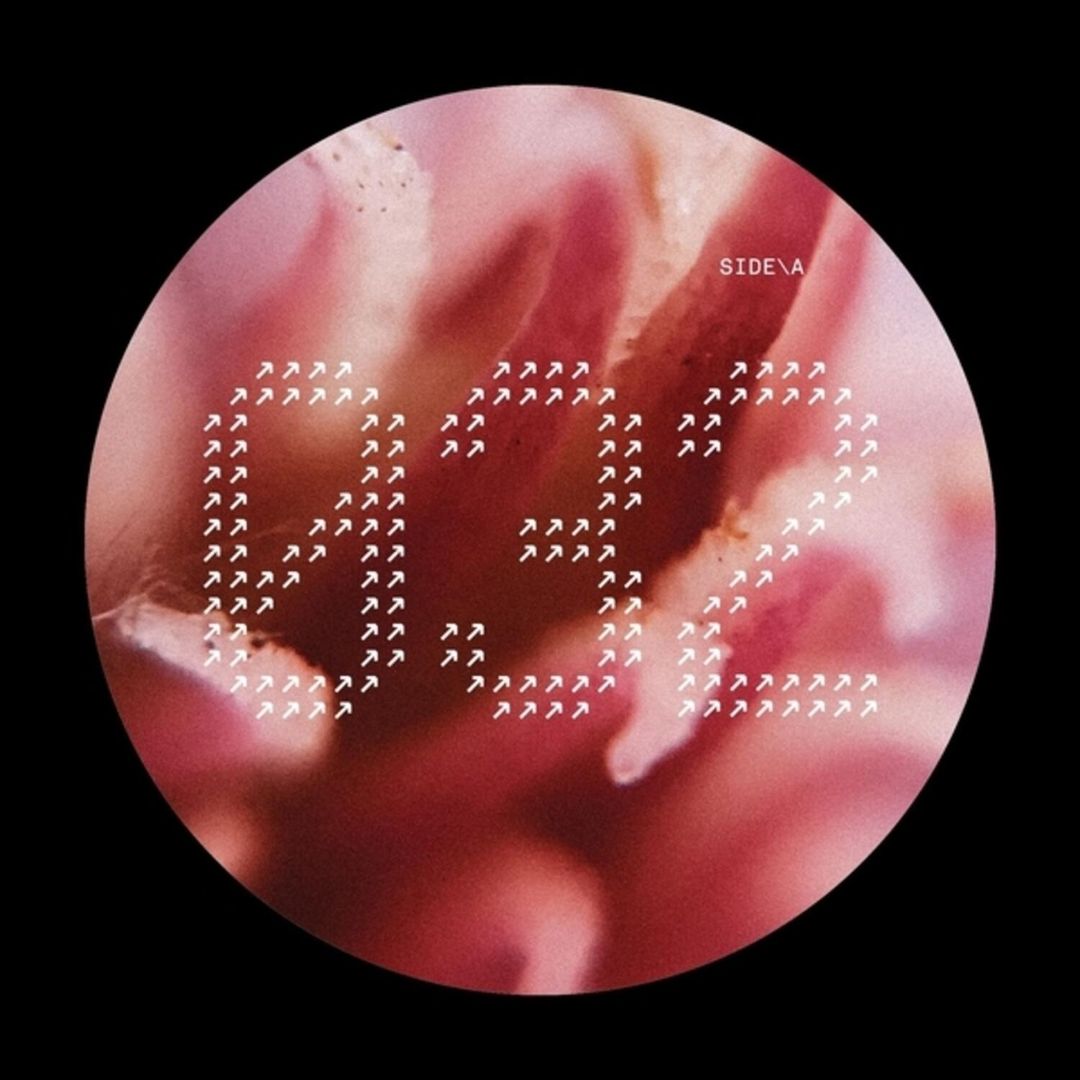 NECH032 cover art