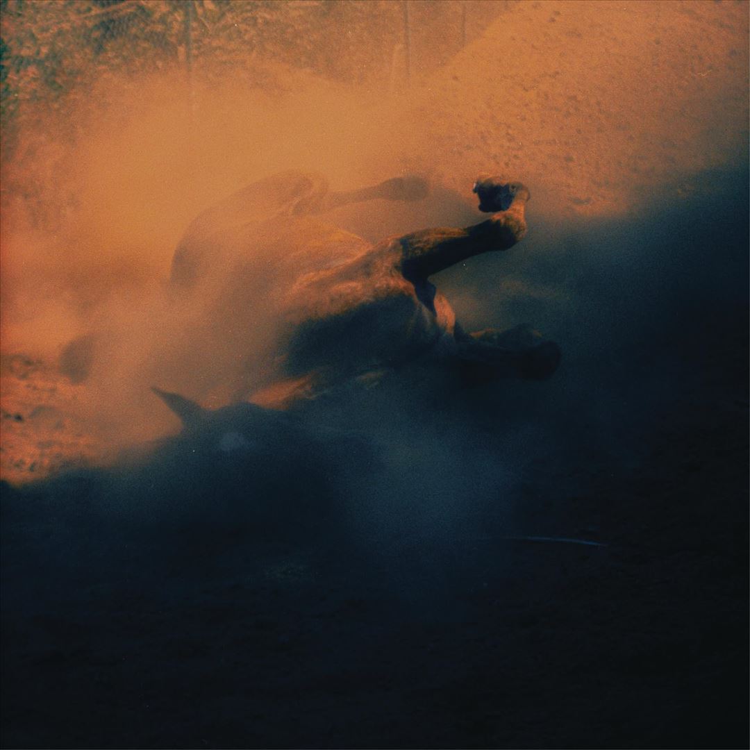Plastic Borough cover art