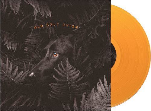 Where the Dogs Don't Bite cover art