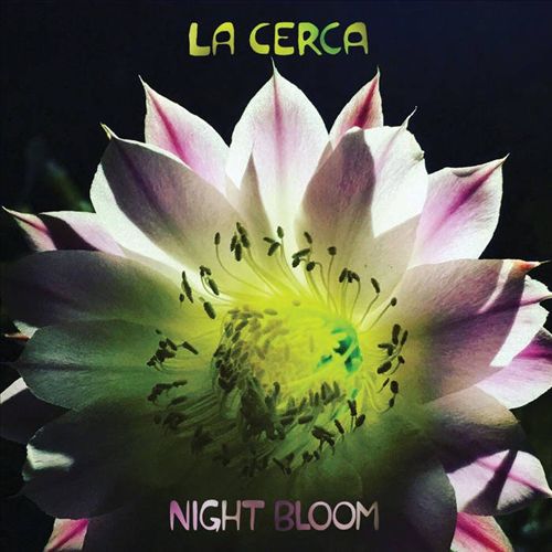 Night Bloom cover art
