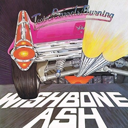 Twin Barrels Burning [Picture Disc] cover art