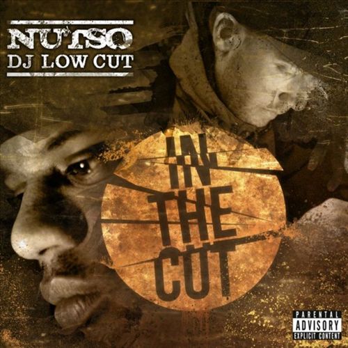 In The Cut cover art