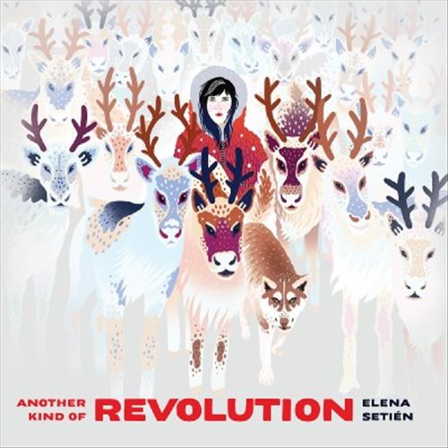 Another Kind of Revolution cover art