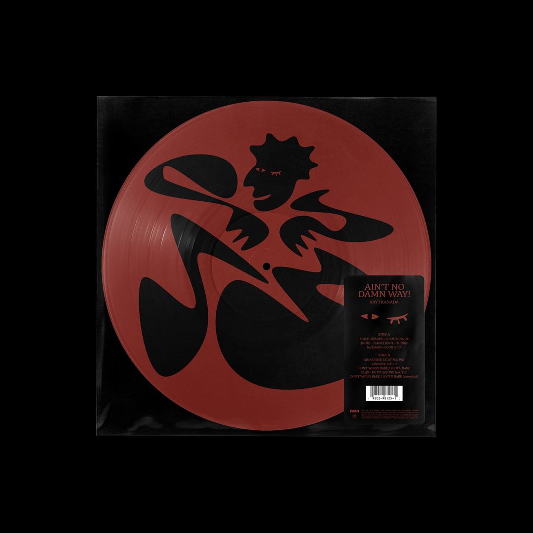 AIN'T NO DAMN WAY! [Picture Disc] cover art