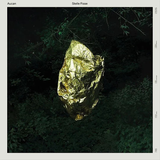 Stelle Fisse cover art