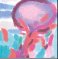 Tangerine Sky cover art