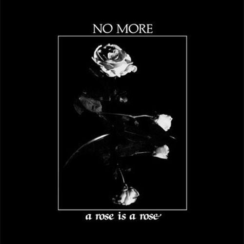 Rose Is a Rose cover art