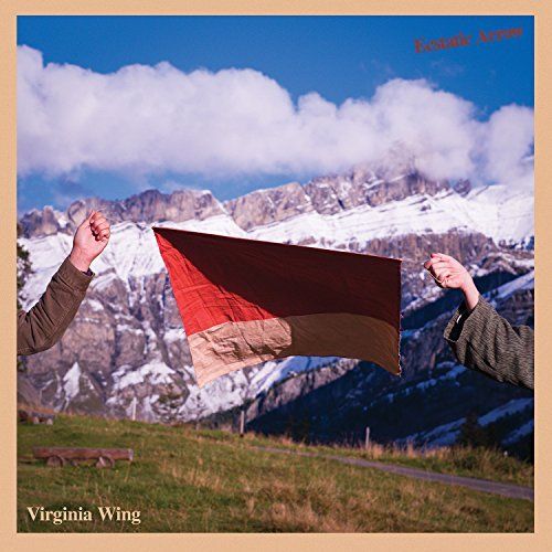 Ecstatic Arrow [Coloured Vinyl] cover art