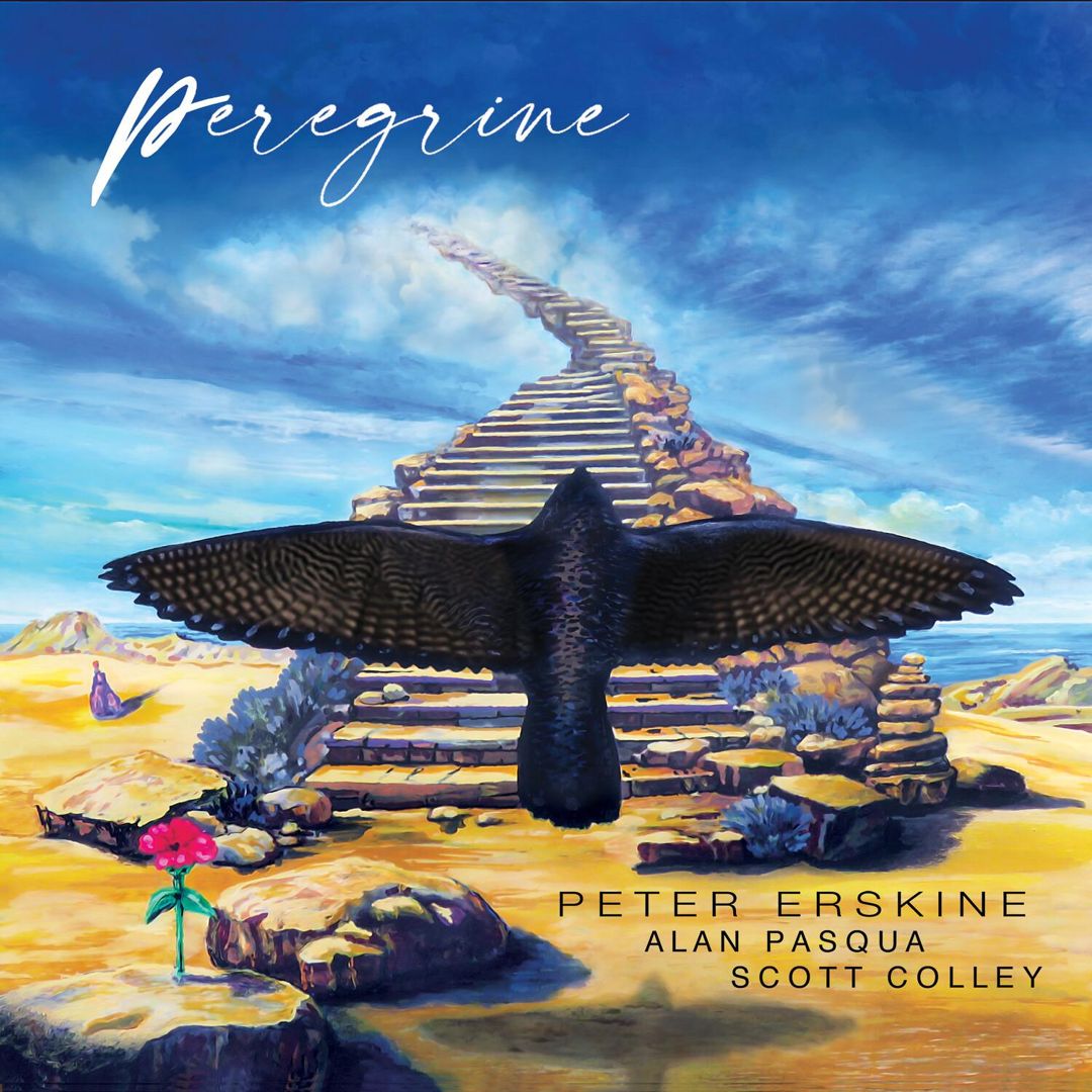 Peregrine cover art