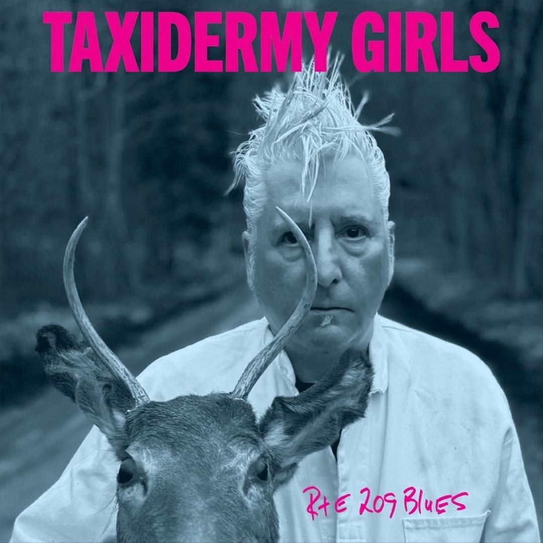 Rte 209 Blues cover art