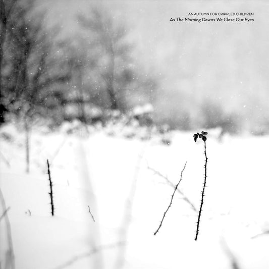 As the Morning Dawns We Close Our Eyes cover art