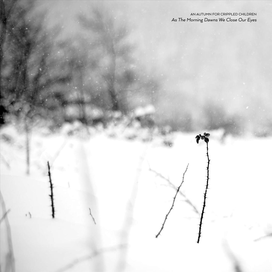As the Morning Dawns We Close Our Eyes cover art