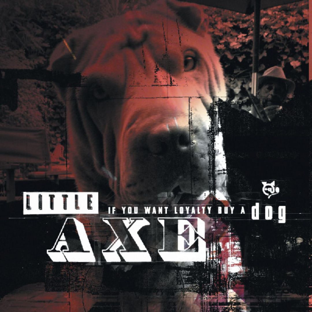 If You Want Loyalty Buy a Dog cover art