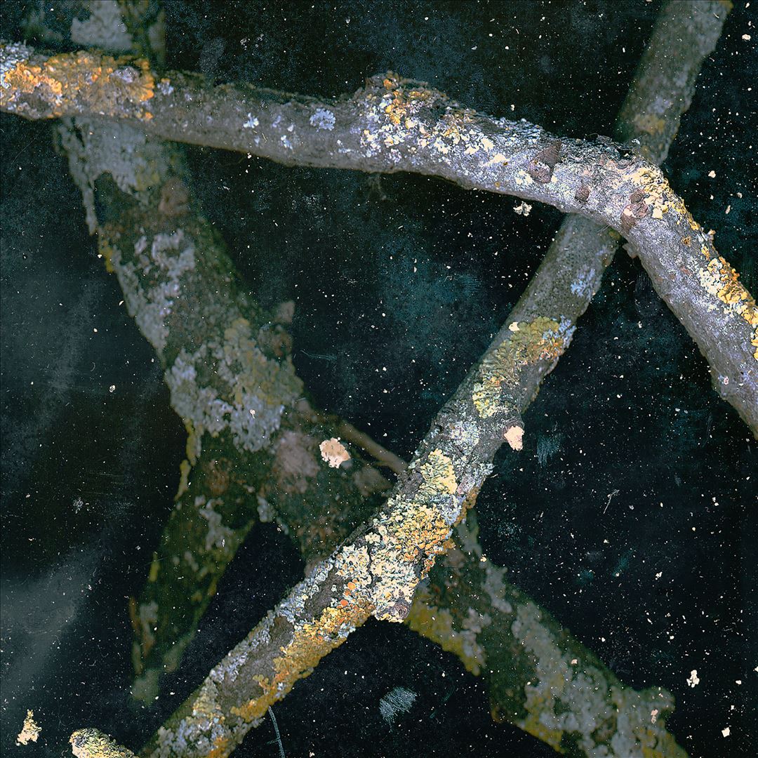 Saaadon cover art