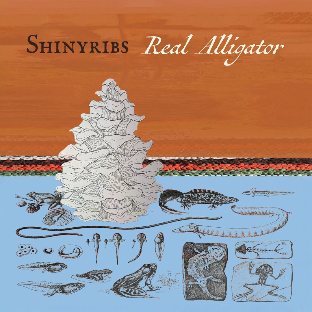 Real Alligator cover art