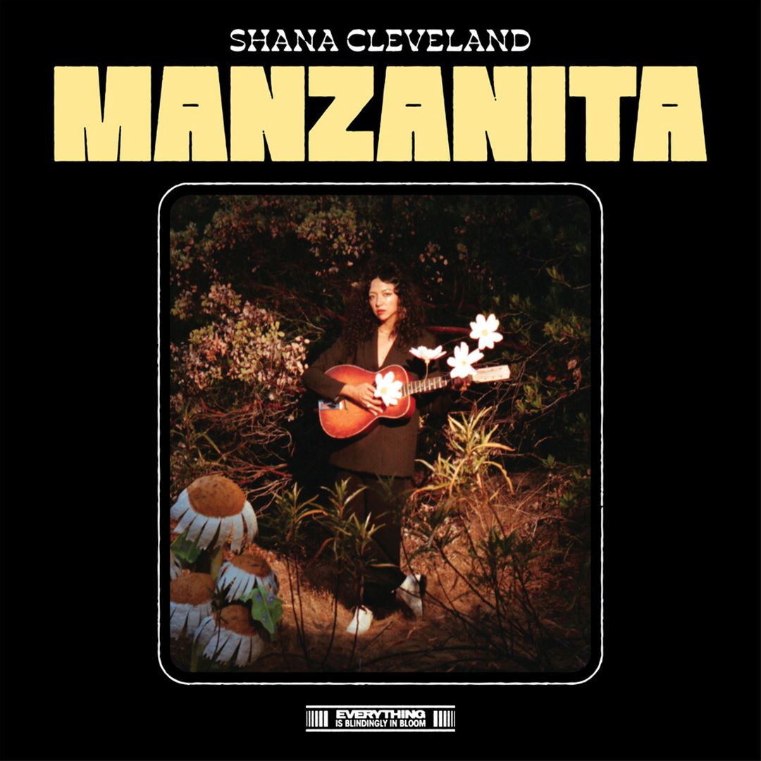Manzanita cover art