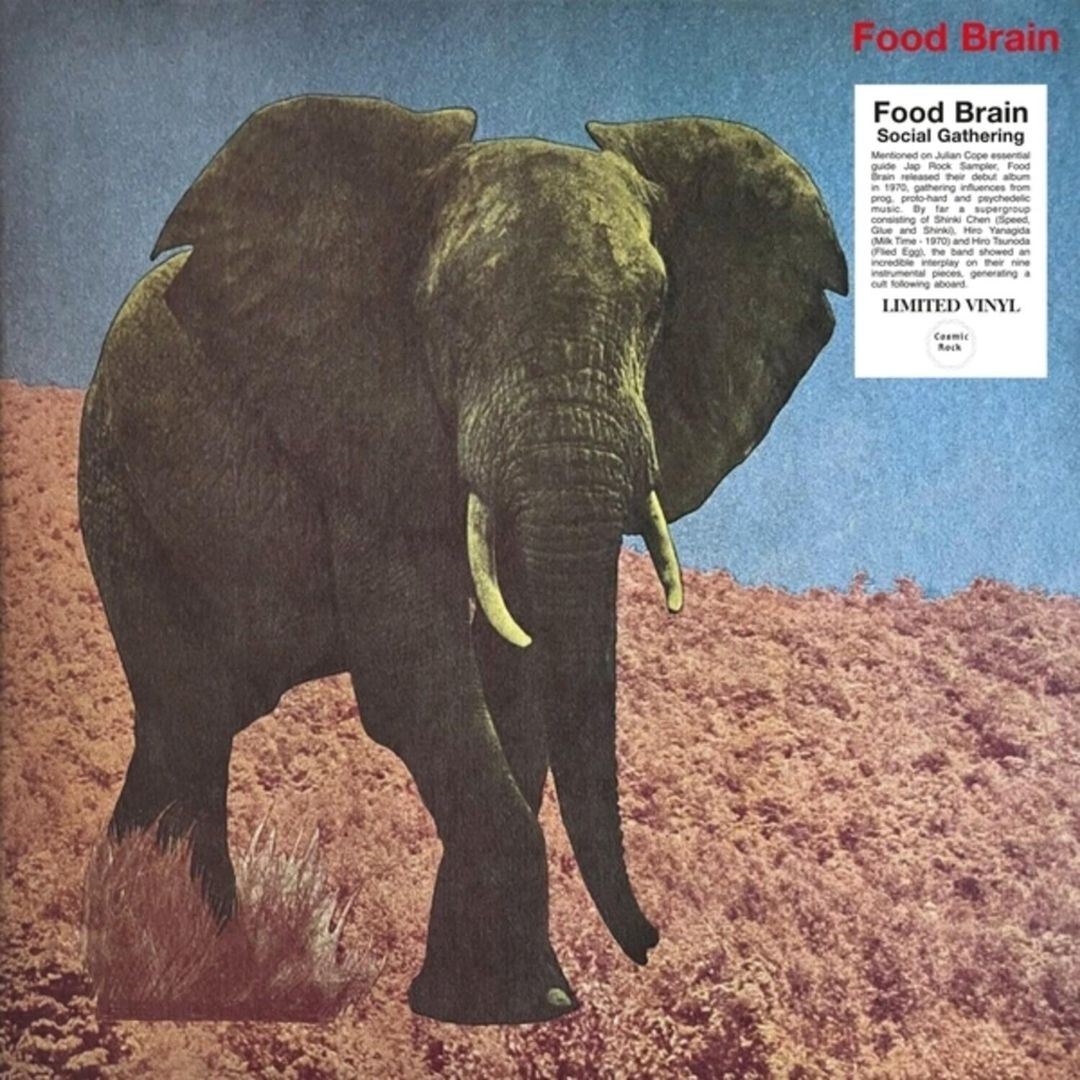 Social Gathering cover art