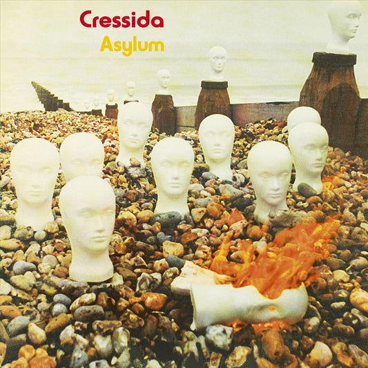Asylum cover art