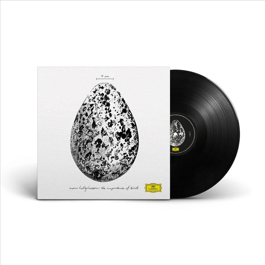 Importance of Birds [12" EP] cover art