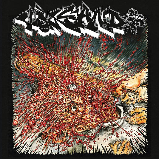 Fool 2 tha Game cover art