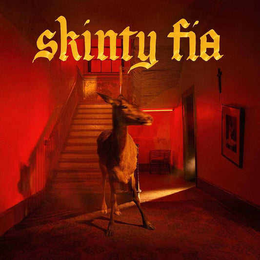 Skinty Fia cover art