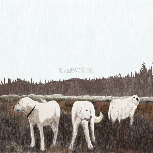 Albatross cover art