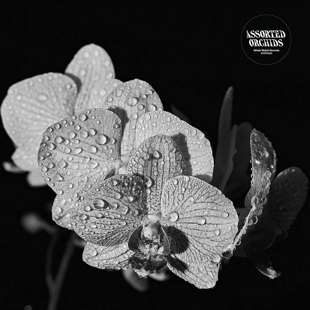 Assorted Orchids cover art