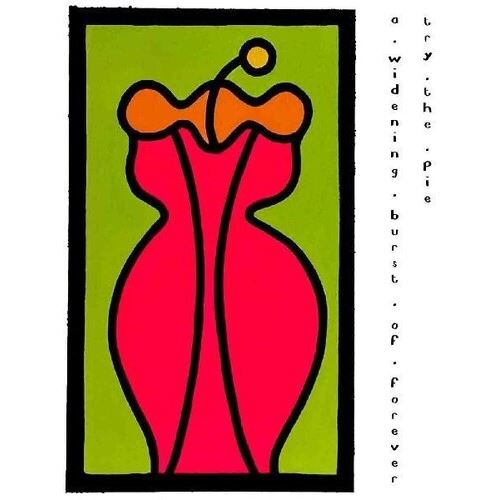 Widening Burst of Forever cover art