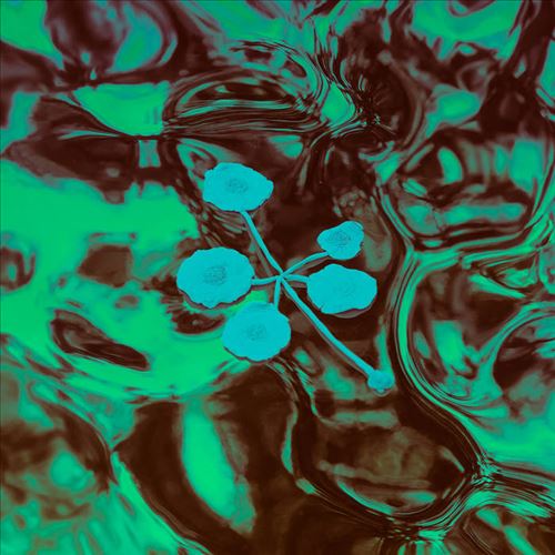Ever-Growing Meridional Entertainment cover art