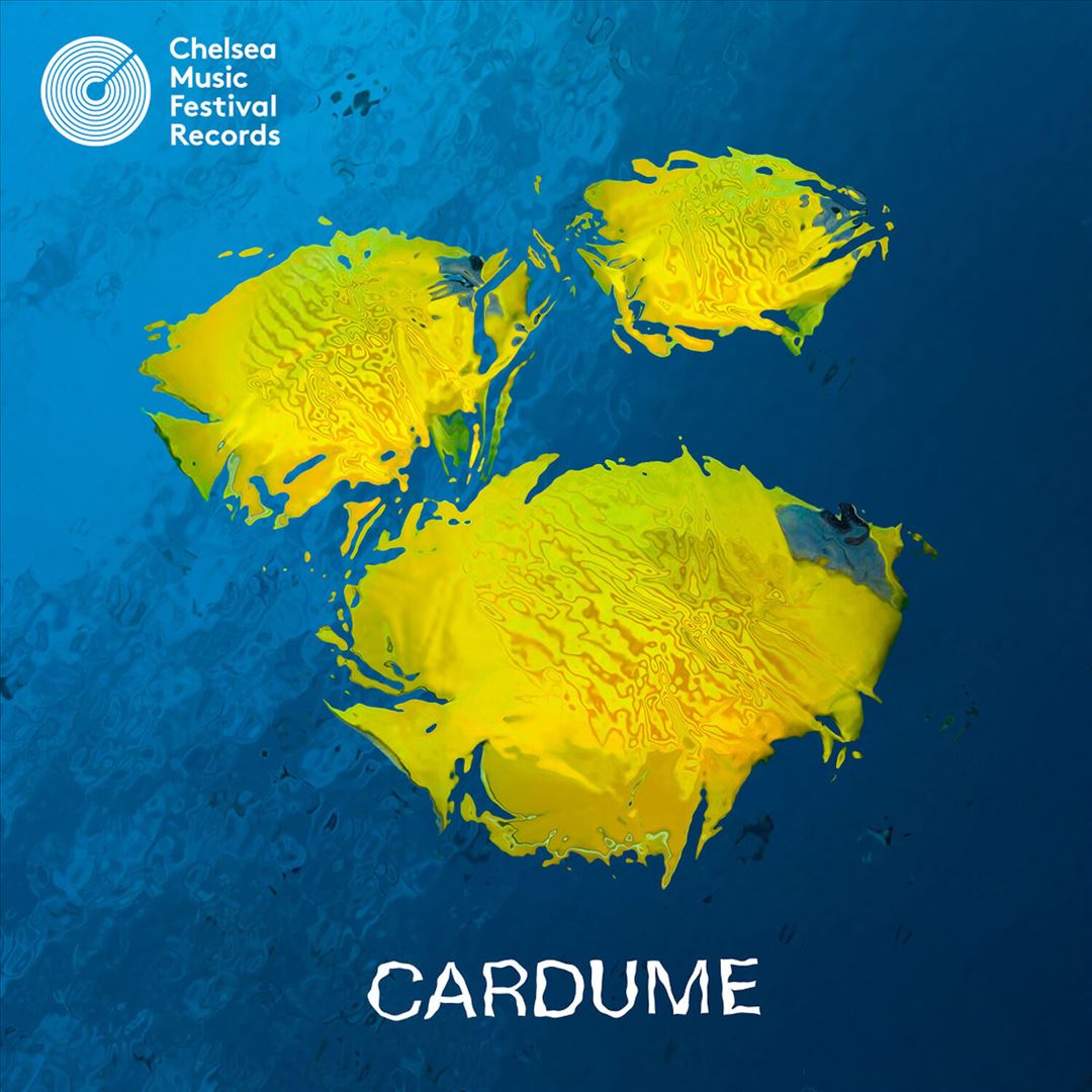 Cardume cover art