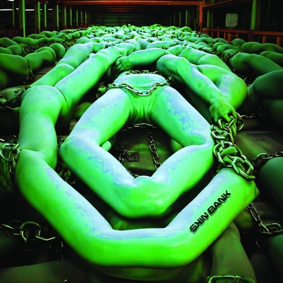 Skin Bank cover art