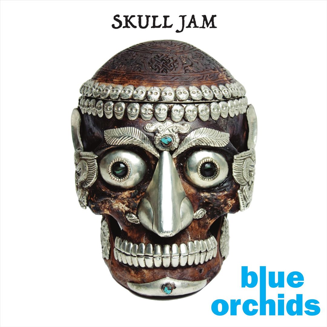 Skull Jam cover art