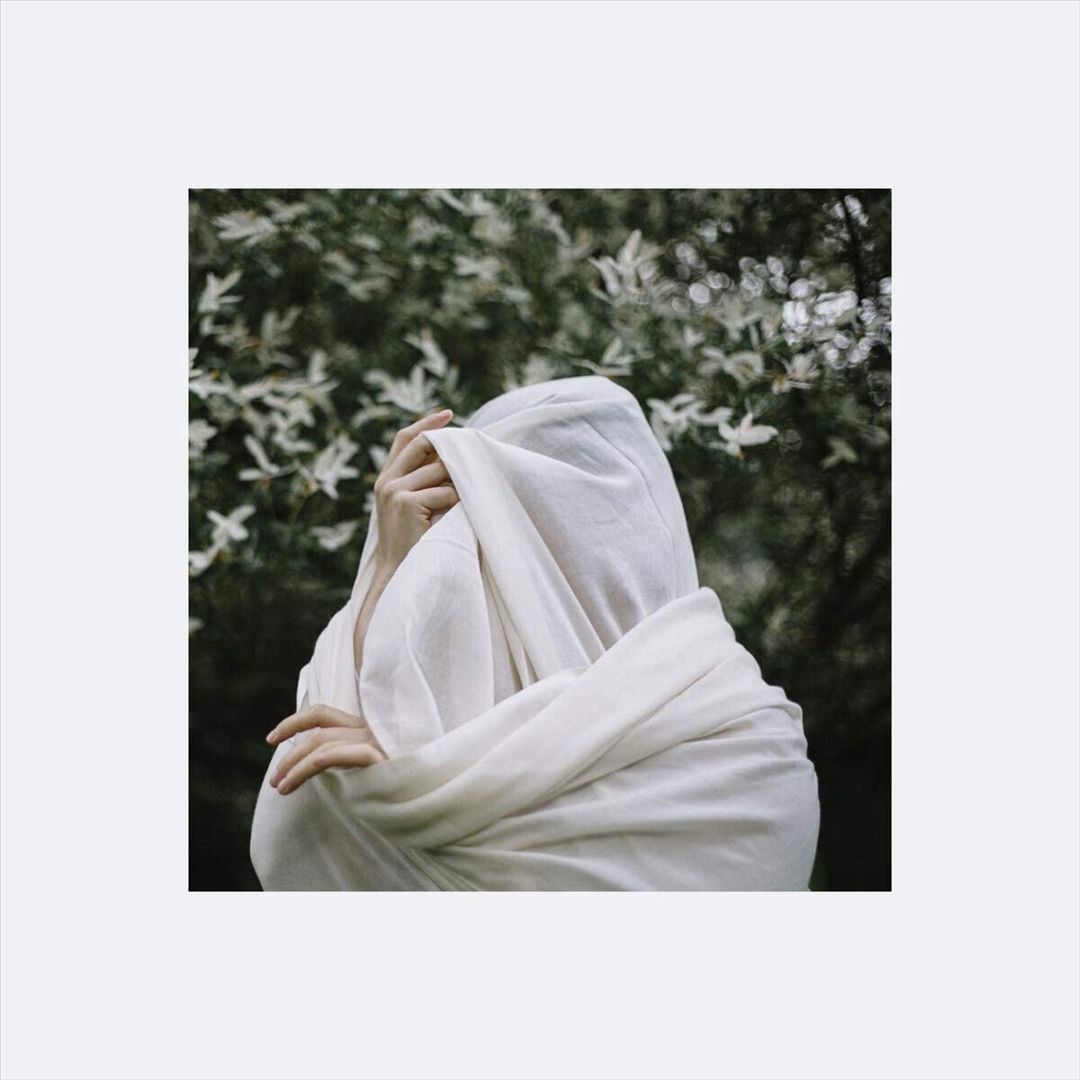 Longing for Belonging cover art