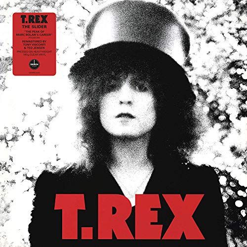 The Slider [Clear Vinyl] cover art