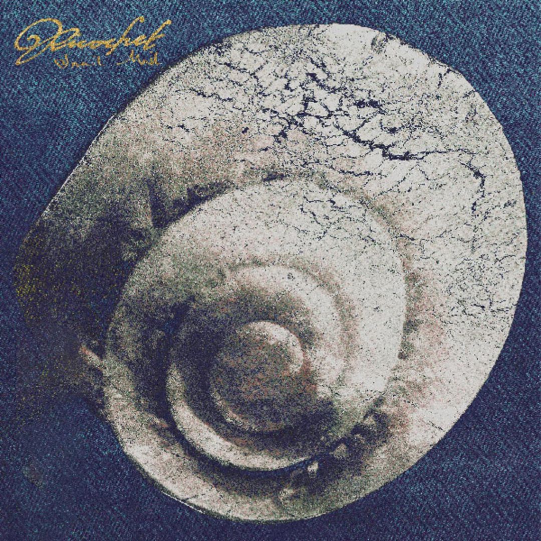 Ricochet cover art