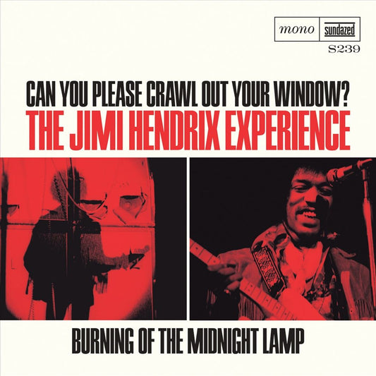 Can You Please Crawl Out Your Window? cover art