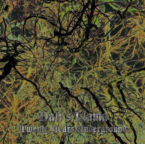 Twenty Years Underground cover art