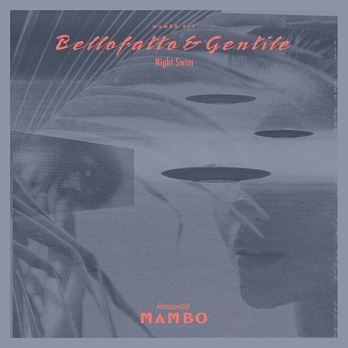 Night Swim cover art
