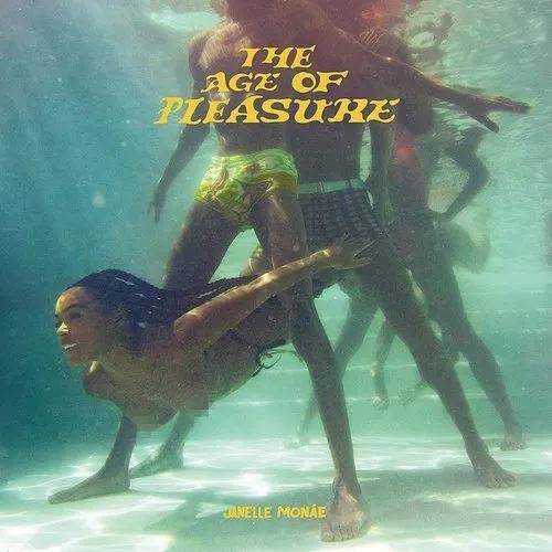 Age Of Pleasure cover art