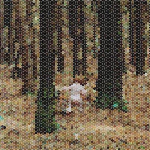 Mountain for President cover art