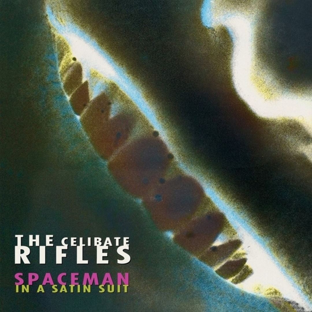 Spaceman in a Satin Suit cover art