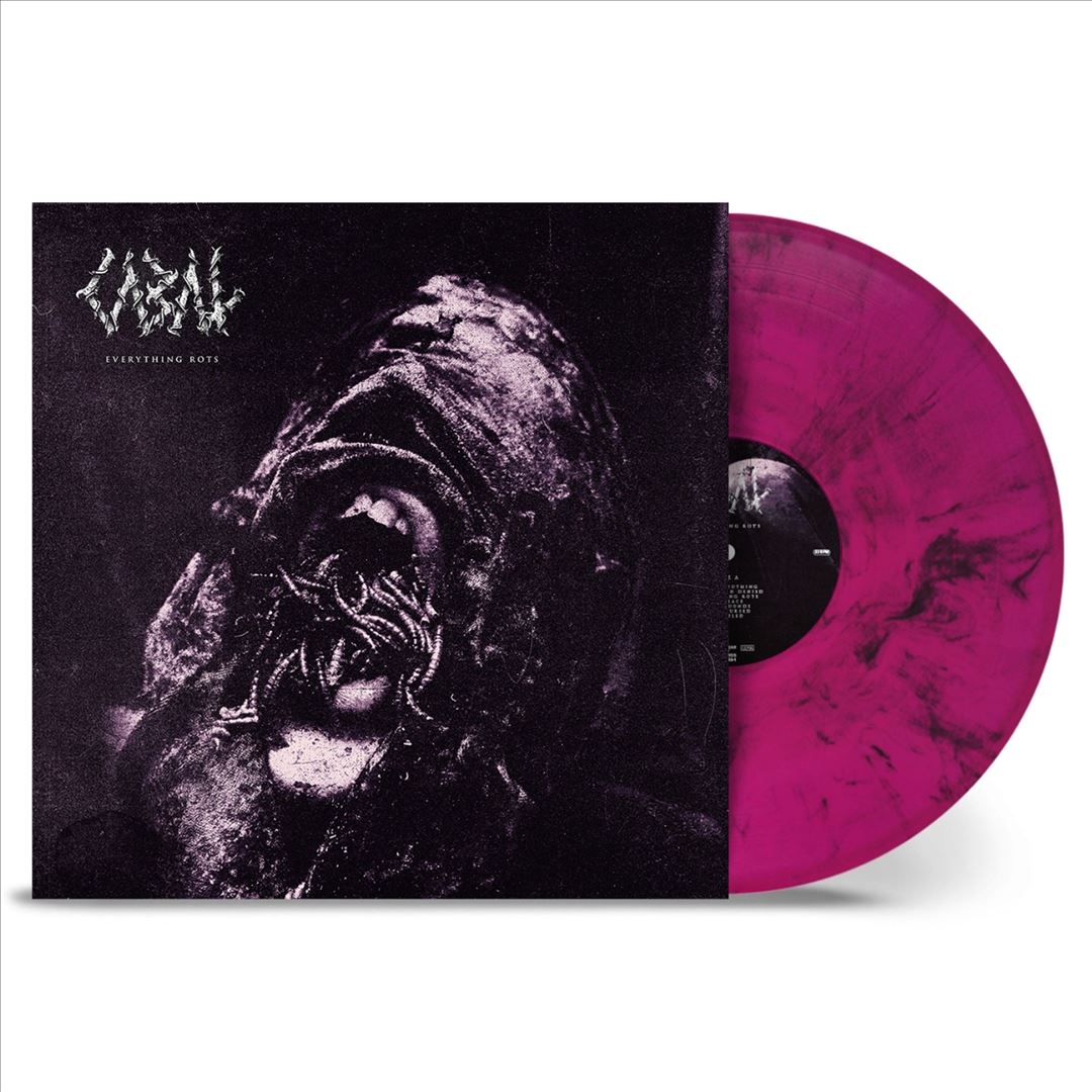 Everything Rots cover art