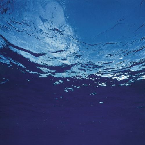 Marine Flowers cover art